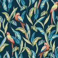 Tropical, Birds, Botanical