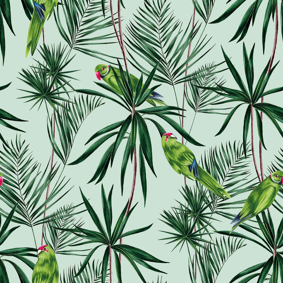 Tropical, Animals, Botanical