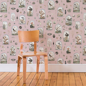 Curio Wallpaper in Rose