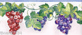 White bg.w/ multi color fruit die cut Border  BB75955DC
