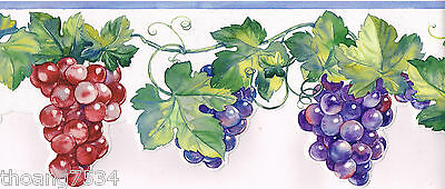 White bg.w/ multi color fruit die cut Border  BB75955DC