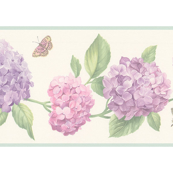 Hydrangea Border.  FK78468