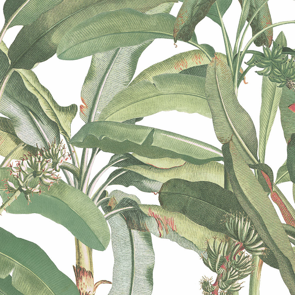 wallpaper, wallpapers, floral, flowers, stems, leaves, tropical, exotic