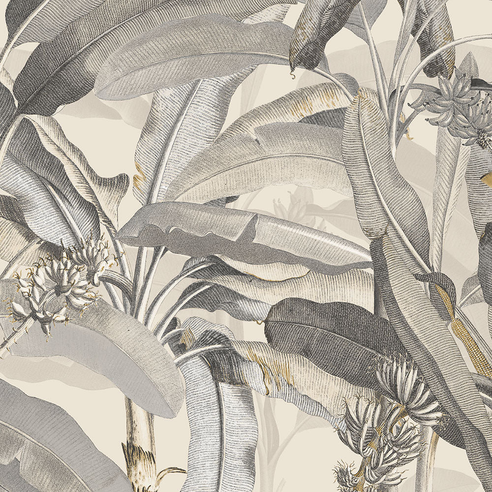 wallpaper, wallpapers, floral, flowers, stems, leaves, tropical, exotic