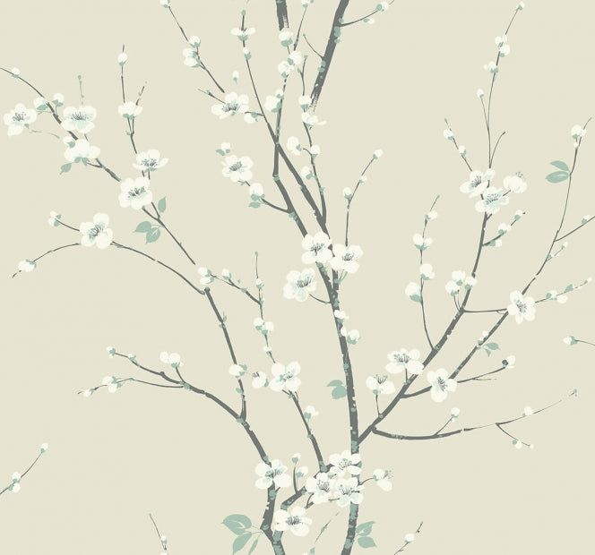 CHERRY BLOSSOM