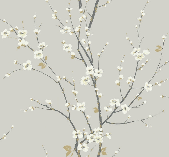 CHERRY BLOSSOM