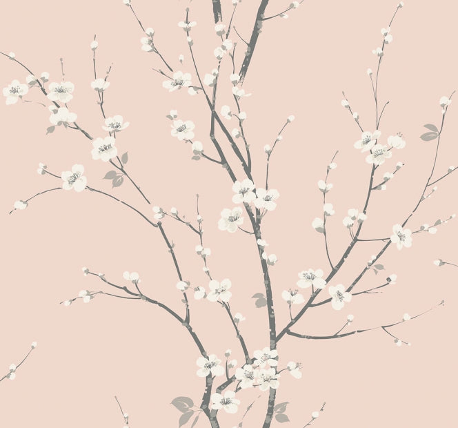 CHERRY BLOSSOM