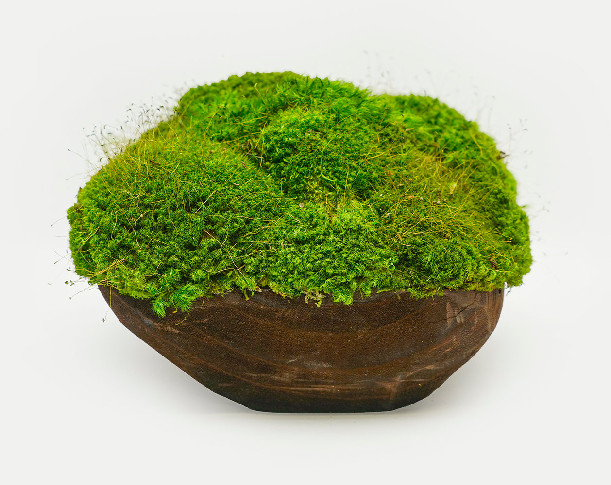 NATURALLY PRESERVED MOOD MOSS WOOD BOWL 10