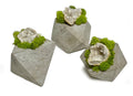 SET OF 3 GEODES IN CEMENT GEOMETRIC POTS