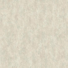 Load image into Gallery viewer, Shimmering Patina