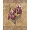 White Purple Flowers Brown Floral Prepasted Wallpaper Border