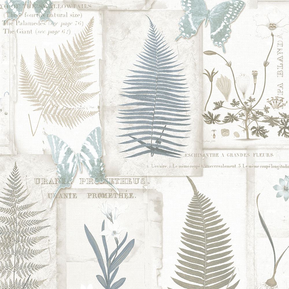 wallpaper, wallpapers, botanical, leaves, flowers, butterflies, script, ferns